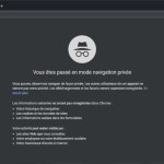 Google Chrome 76 est là : vrai mode Incognito et fin de flash Google Chrome 76 est là : vrai mode Incognito et fin de flash