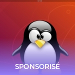 Sudo, Shell, Touch : Apprenez à dompter Linux pas à pas avec cette formation Sudo, Shell, Touch : Apprenez à dompter Linux pas à pas avec cette formation