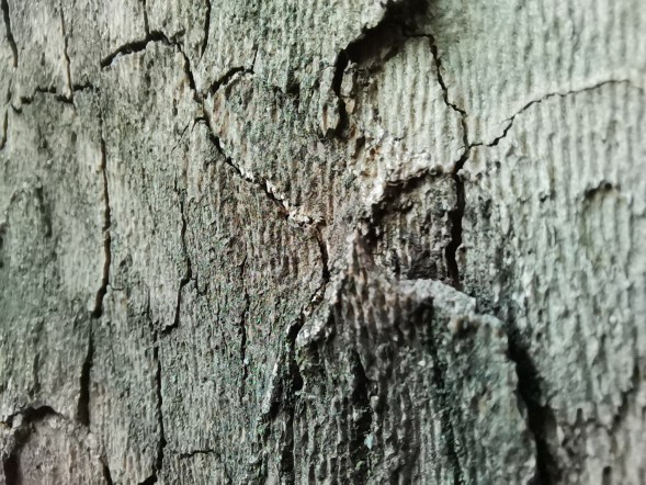2019-08-12 18.58.35