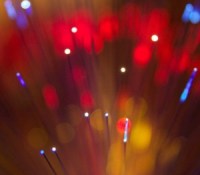 fibre-illustration-ccby