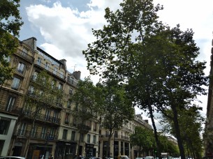 IMG_20190808_151246