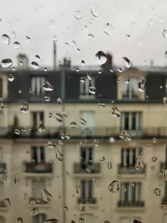 Photo Honor 20 Pro macro