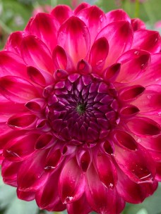 IMG_0161