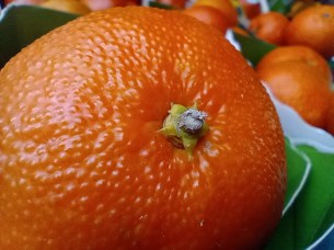 IMG_20191114_141209790