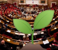 assemblee-nationale-jeune-pousse