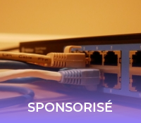 Box fibre