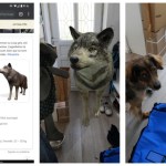 Une simple recherche sur Google fait apparaître des animaux 3D en taille réelle Une simple recherche sur Google fait apparaître des animaux 3D en taille réelle