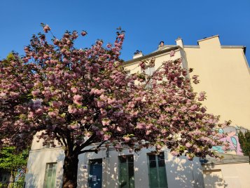 Photo prise au OnePlus 8