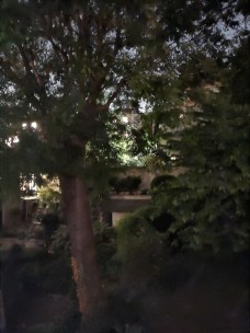 Le mode nuit de l'Oppo Find X2 Neo (grand-angle)