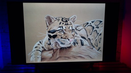Les images 4/3 n'occupent pas toute la surface de cette dalle Ultra HD.