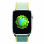 Apple lance un défi aux propriétaires d&rsquo;Apple Watch pour la Journée de l’Environnement