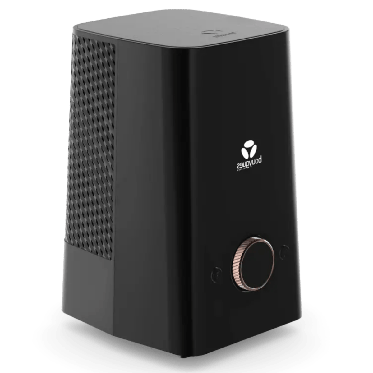 Bouygues Telecom Bbox Ultym (Wi-Fi 6E) Bouygues Telecom Bbox Ultym (Wi-Fi 6E)