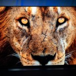 Les TV LG de 2020 deviennent les meilleures alliées de la Xbox Series X Les TV LG de 2020 deviennent les meilleures alliées de la Xbox Series X