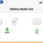 Samsung Galaxy Buds Live : le design haricot des écouteurs confirmé par l&rsquo;App Store d&rsquo;Apple