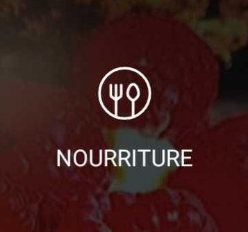 Le mode « Nourriture »