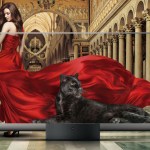 Xiaomi Mi 11 : un TV QLED 4K et une nouvelle trottinette électrique également attendus Xiaomi Mi 11 : un TV QLED 4K et une nouvelle trottinette électrique également attendus