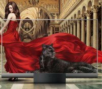 Le téléviseur Xiaomi Mi TV Lux Transparent Edition // Source : Xiaomi