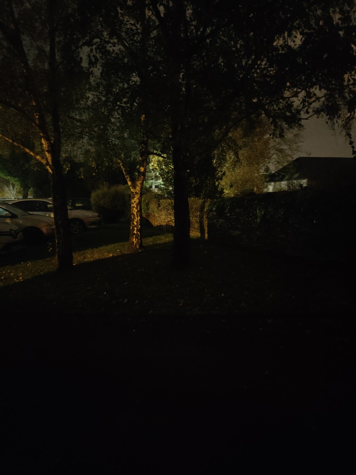 Sans mode nuit Sans mode nuit