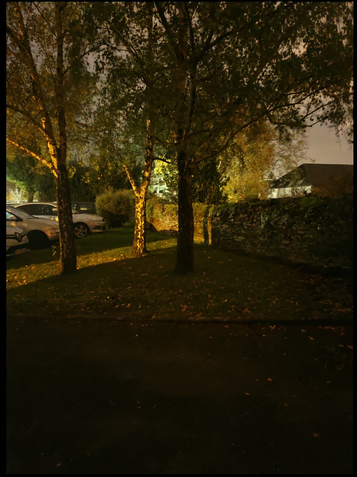 Avec mode nuit Avec mode nuit