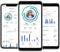 L'application Google Fit sur smartphone // Source : Google