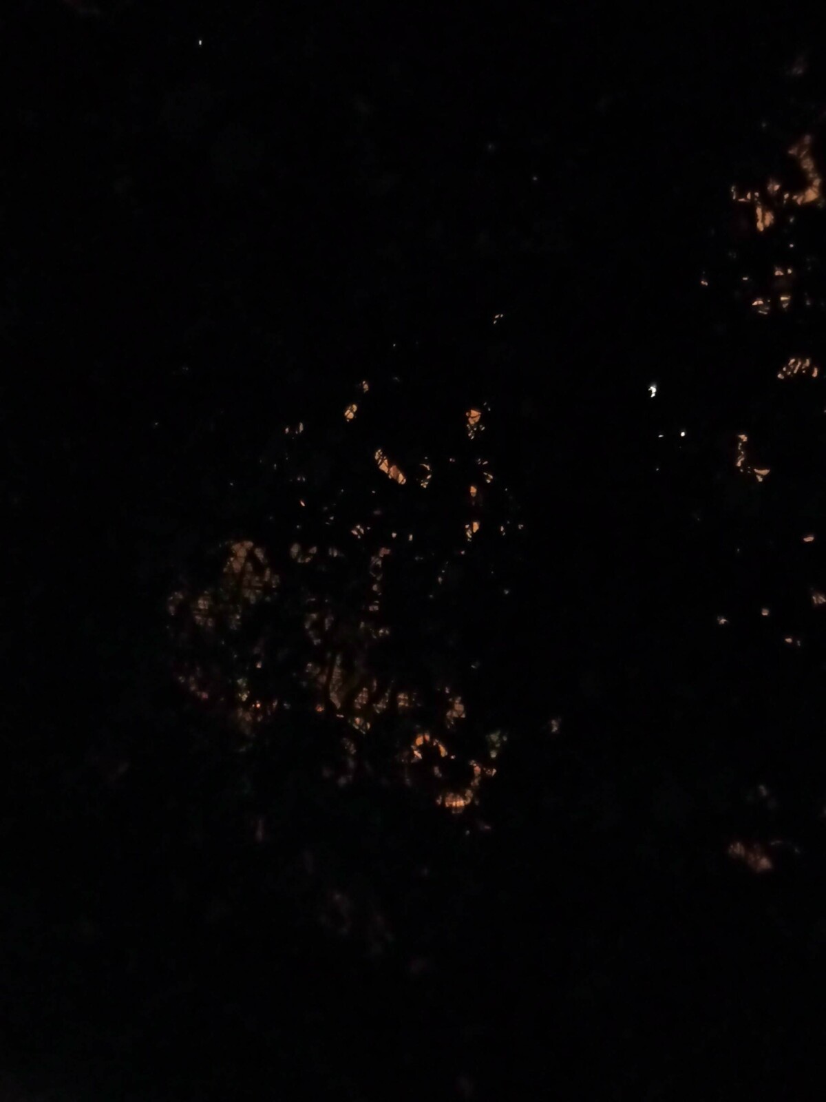 Sans mode nuit Sans mode nuit