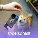 6 conseils pour prendre la photo parfaite de votre chien ou chat avec un smartphone 6 conseils pour prendre la photo parfaite de votre chien ou chat avec un smartphone