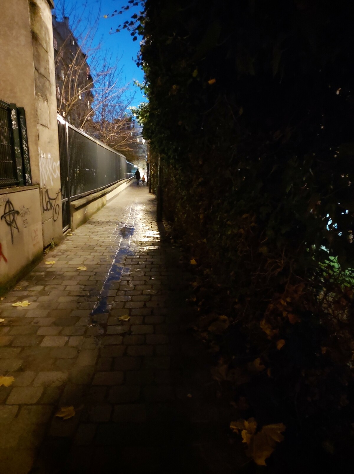 Sans mode nuit Sans mode nuit