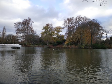 IMG_20201204_100525