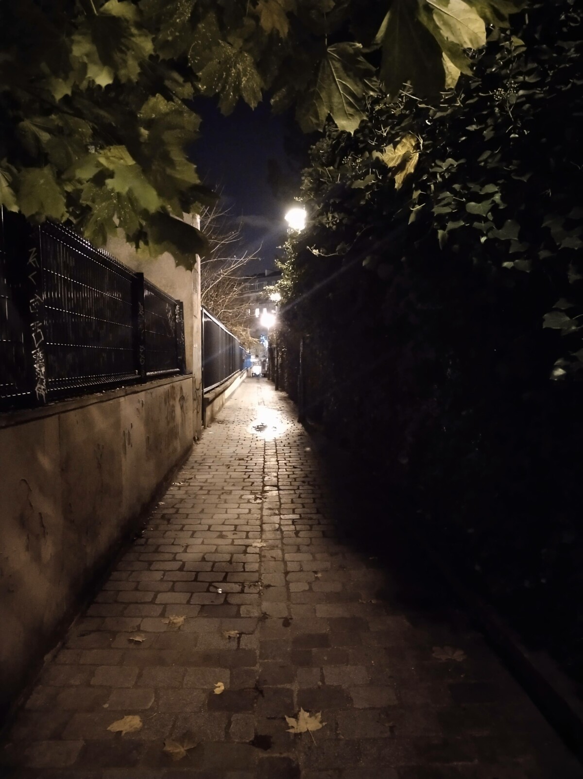 Sans mode nuit Sans mode nuit