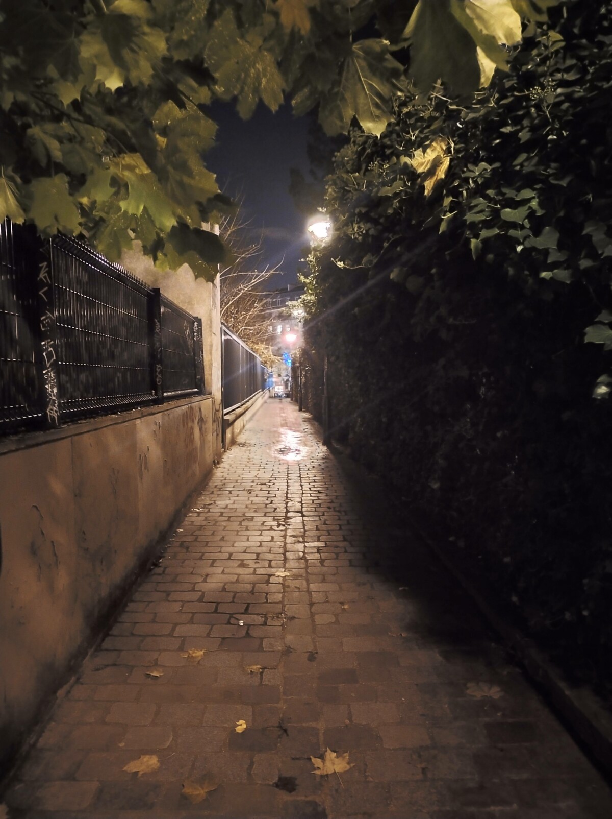 Avec mode nuit Avec mode nuit