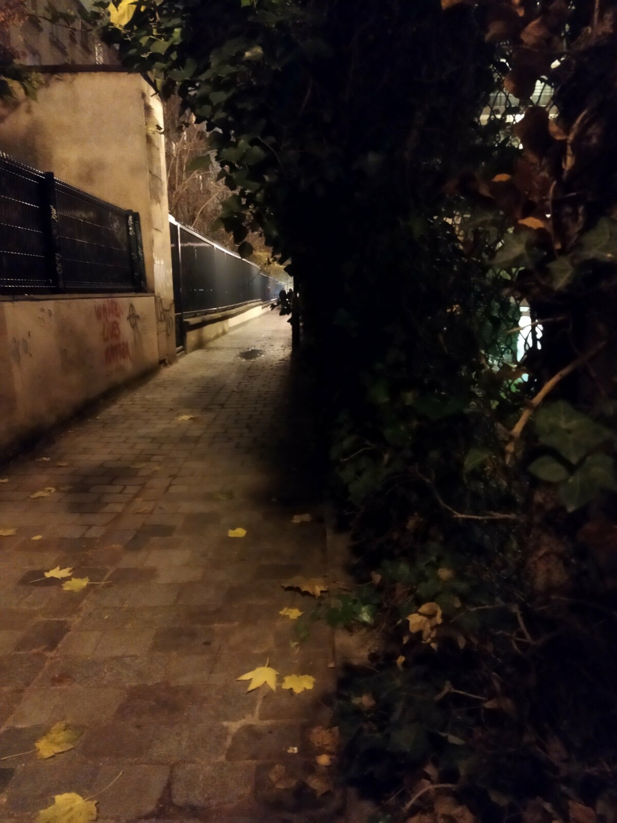 Sans mode nuit Sans mode nuit