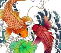 La célèbre carpe koï donnera son nom au premier smartphone de Realme équipé d'un Snapdragon 888 // Source : Realme via Weibo
