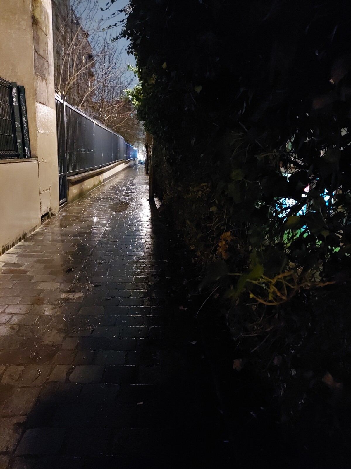 Sans mode nuit Sans mode nuit
