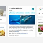 Google : une nouvelle interface pour les résultats de recherche mobile Google : une nouvelle interface pour les résultats de recherche mobile