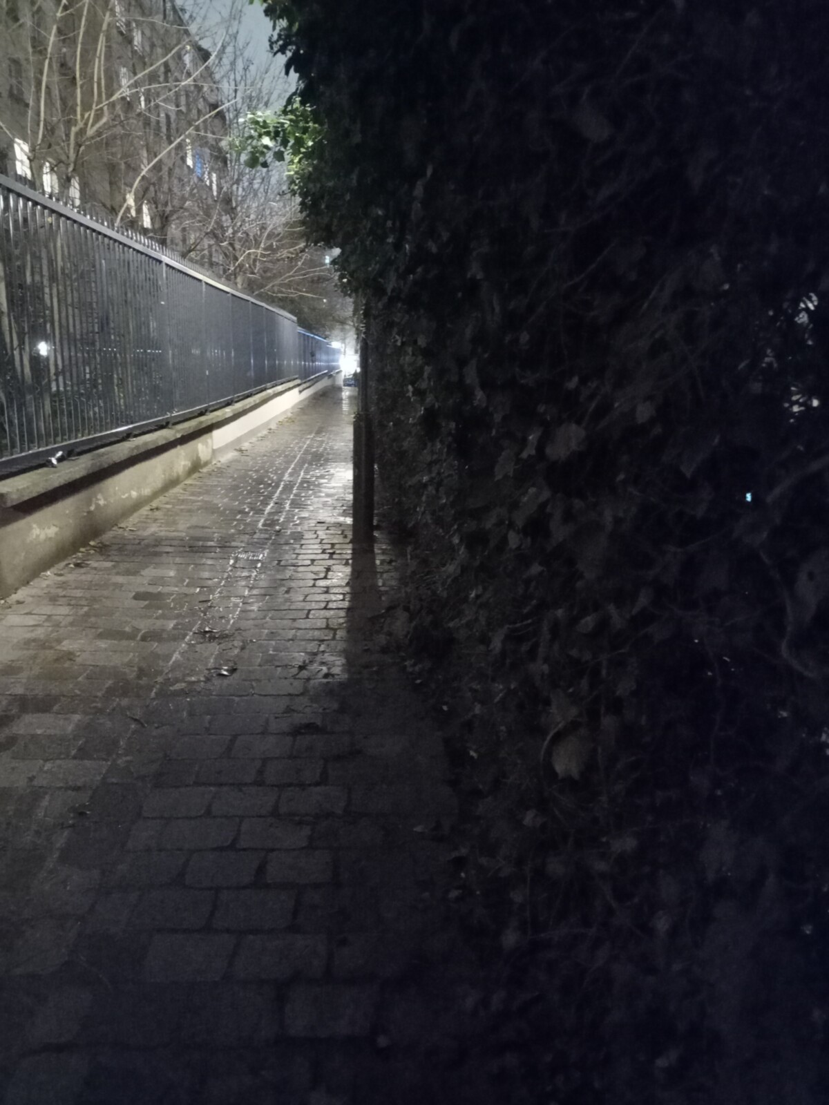 Sans mode nuit Sans mode nuit