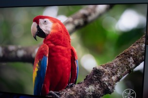 Xiaomi Mi Q1 75"