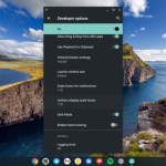 Android 11 s’invite en bêta sur les Chromebooks Android 11 s’invite en bêta sur les Chromebooks