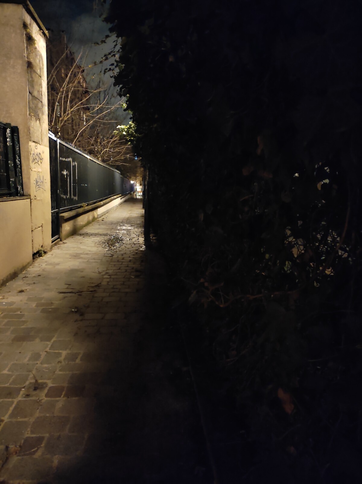 Sans mode nuit Sans mode nuit