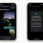 WhatsApp affiche enfin les fichiers multimédias en pleine largeur sur iPhone