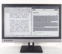 Dasung Paperlike 253