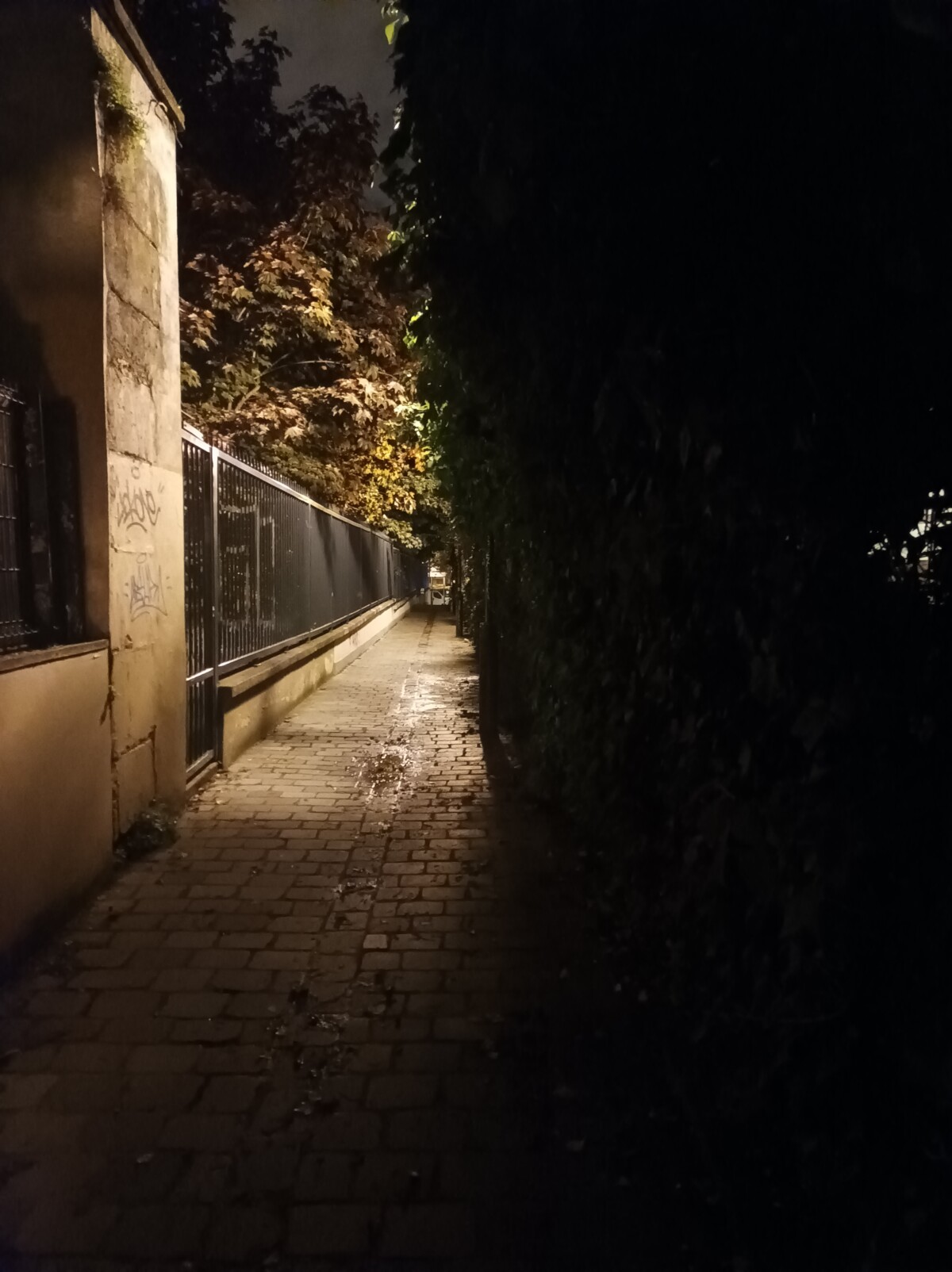 Sans mode nuit Sans mode nuit