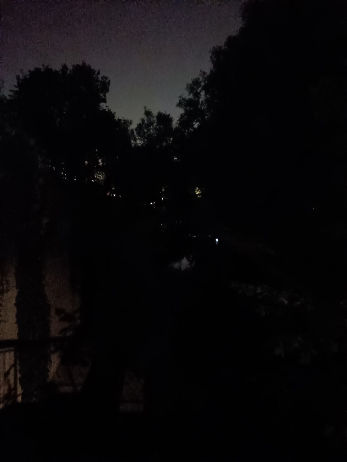 Sans mode nuit Sans mode nuit