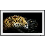 Samsung QE50LS03A (The Frame 2021) Samsung QE50LS03A (The Frame 2021)