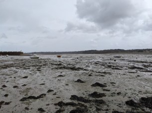 Photo Pixel 5 (3)