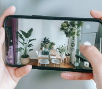 Votre smartphone permet de reconnaître de nombreuses plantes // Source : Teona Swift (via Pexels)