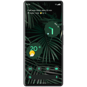 Google Pixel 6 Pro Google Pixel 6 Pro