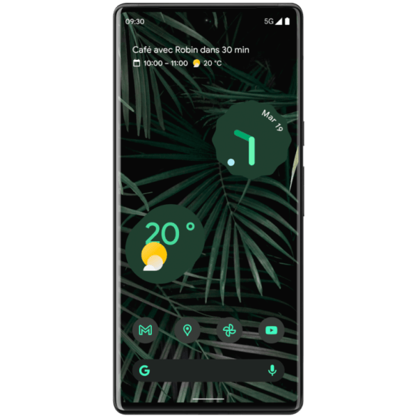 Google Pixel 6 Pro