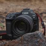 Comment Canon compte dépasser Sony pour dominer le marché des appareils photo hybrides Comment Canon compte dépasser Sony pour dominer le marché des appareils photo hybrides