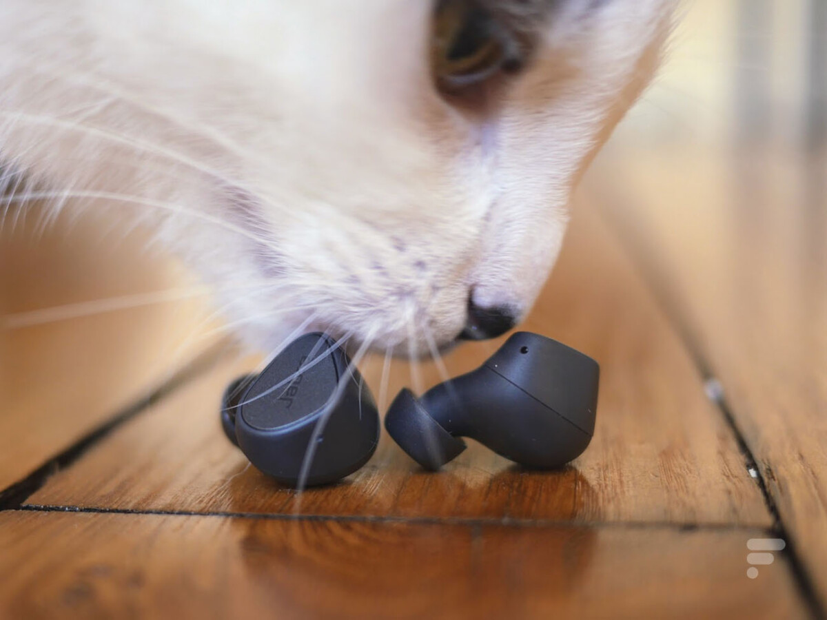Les Jabra Elite 3 // Source : Frandroid Les Jabra Elite 3 // Source : Frandroid
