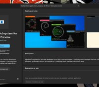 Microsoft Store Linux